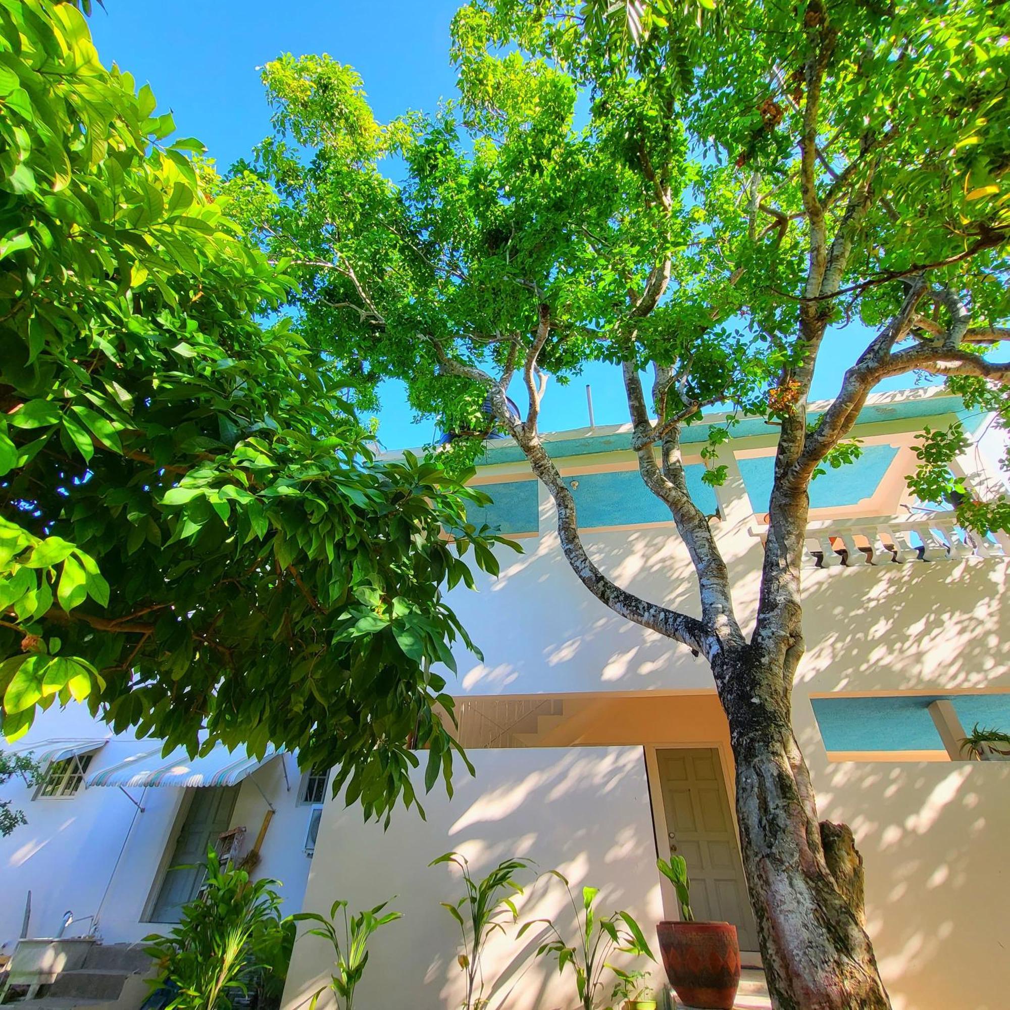 Green'S Palace Jamaica Oracabessa Luaran gambar